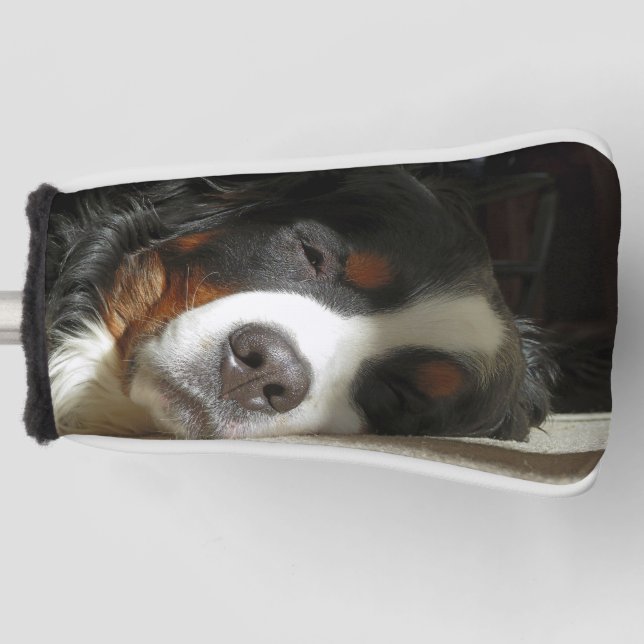 bernese mountain dog sleeping golf head cover (Front)