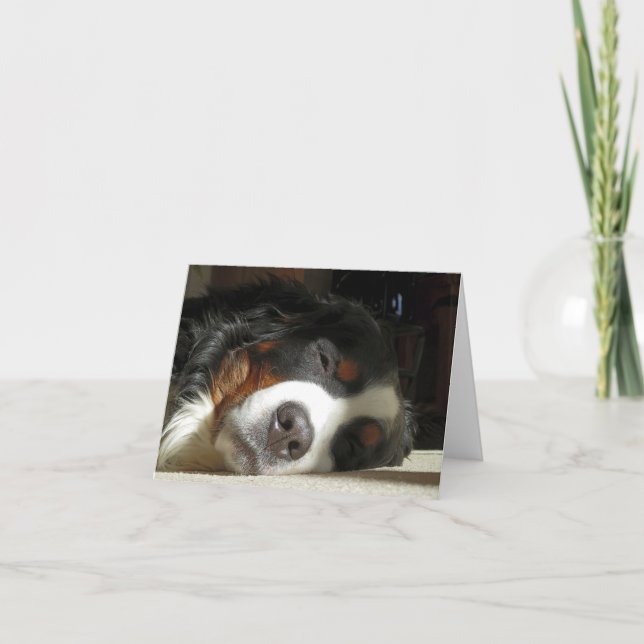 bernese mountain dog sleeping thank you card (Front)