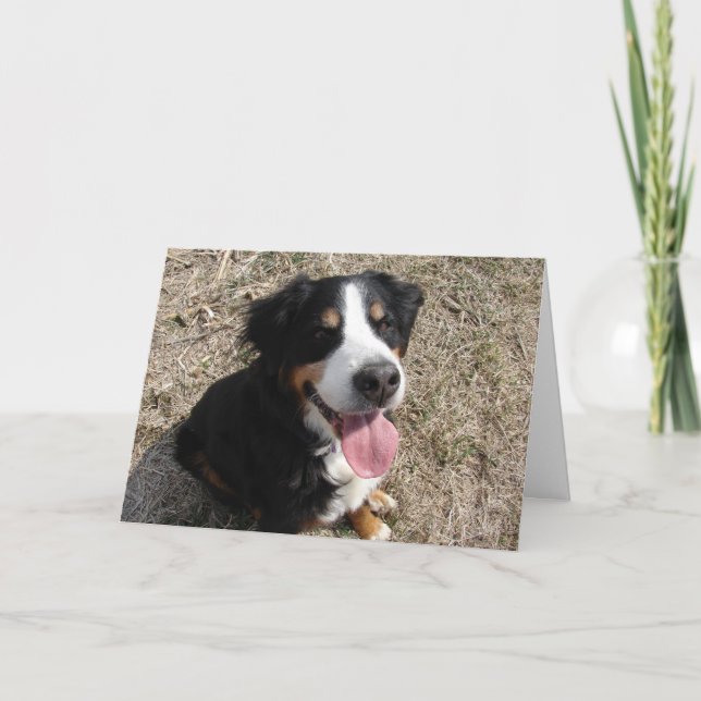 Bernese Mountain Dog Smile Card (Front)