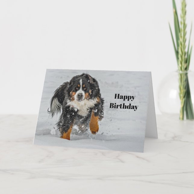 Bernese Mountain Dog Snow Photo Birthday Card (Front)
