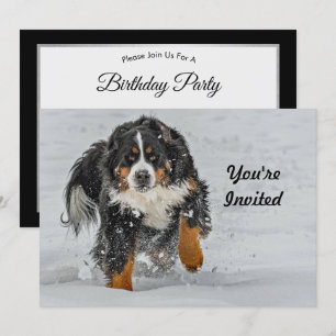 Bernese Mountain Dog Snow Photo Birthday Invitation