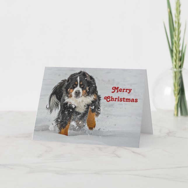 Bernese Mountain Dog Snow Photo Christmas Holiday Card (Front)