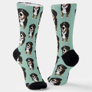 Bernese Mountain Dog  Socks