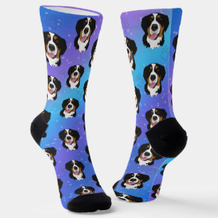 Bernese Mountain Dog  Socks