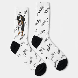 Bernese Mountain Dog  Socks