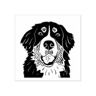 Bernese mountain dog stamp