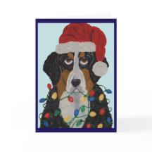 Bernese Mountain Dog Tangled In Christmas Lights
