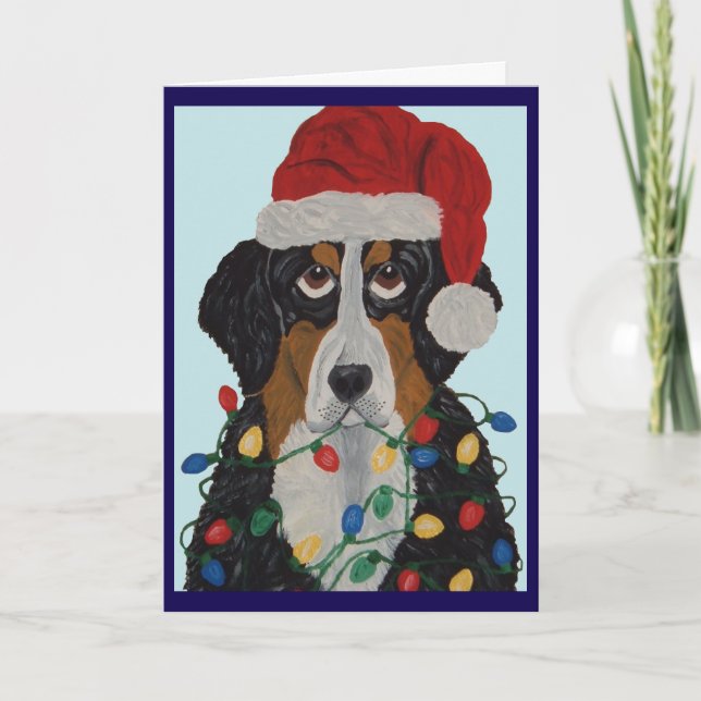  Bernese Mountain Dog Tangled In Christmas Lights  Card (Front)