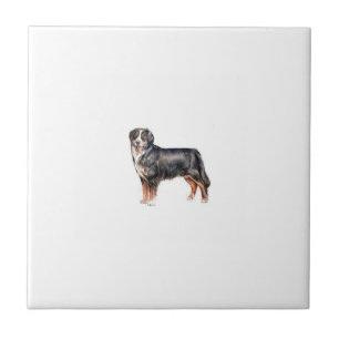 Bernese Mountain Dog Tile