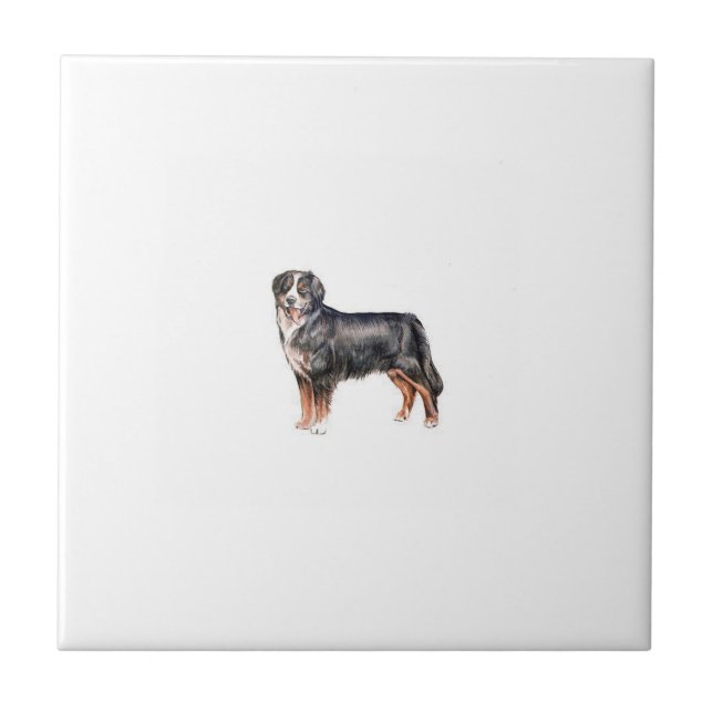Bernese Mountain Dog Tile (Front)