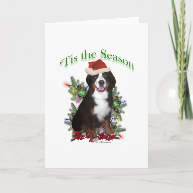 Bernese Mountain Dog ‘Tis Holiday Card (Front)