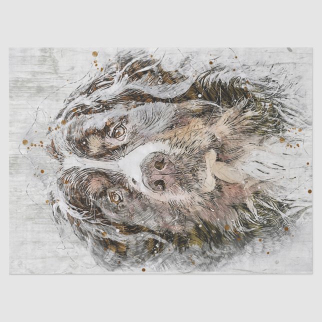 Bernese Mountain Dog Tissue Paper (Front)