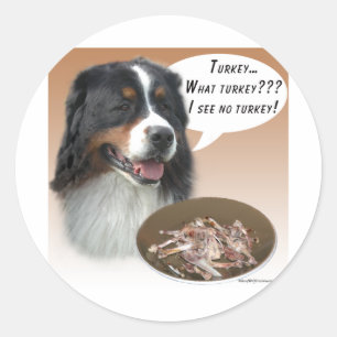 Bernese Mountain Dog Turkey Classic Round Sticker