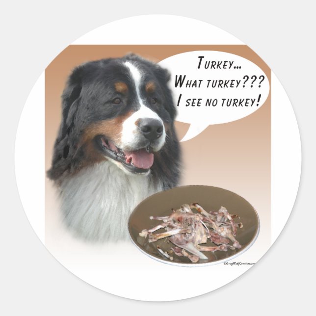 Bernese Mountain Dog Turkey Classic Round Sticker (Front)