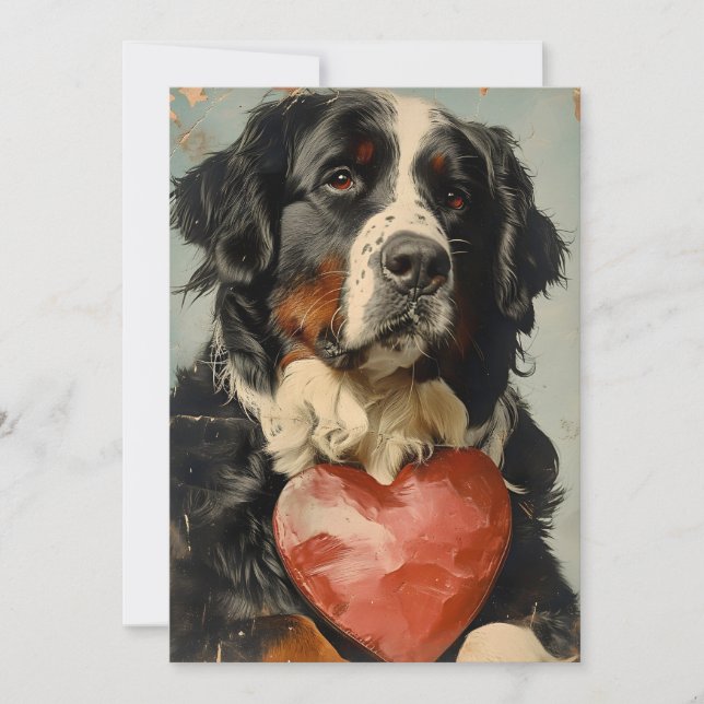Bernese mountain dog Valentine's day Holiday Card (Front)