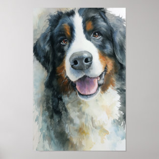 Bernese Mountain dog watercolor portrait Poster