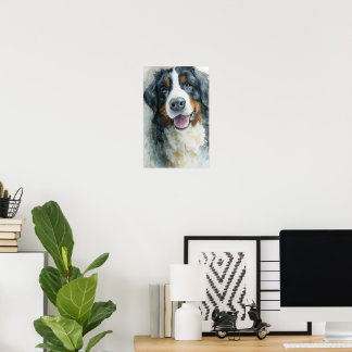 Bernese Mountain dog watercolor portrait Poster