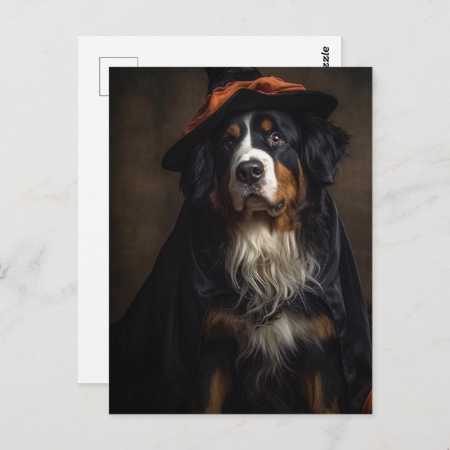 Bernese Mountain Dog Witch Postcard (Front/Back)