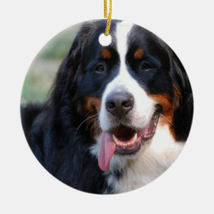Bernese Mountain Dog with Big Tongue Ornaments