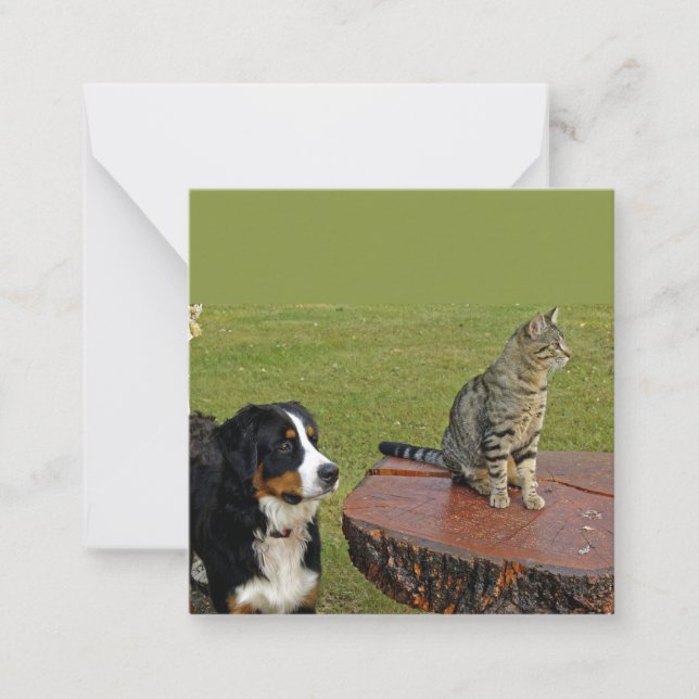 bernese mountain dog with cat card (Front)