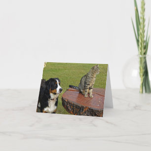 bernese mountain dog with cat thank you card