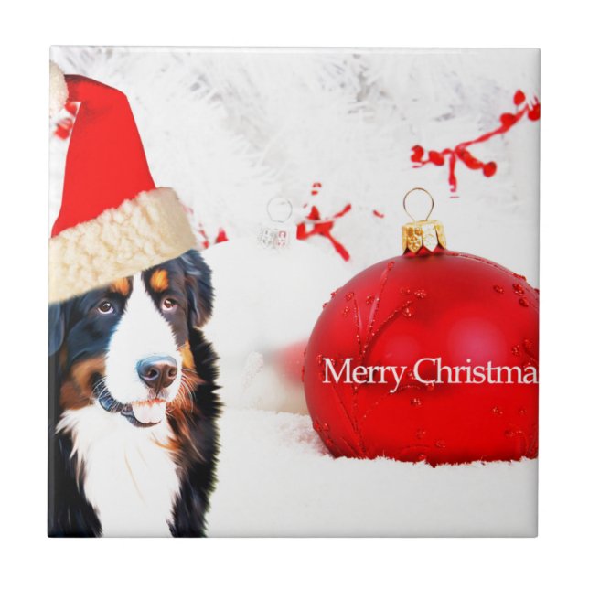 Bernese Mountain Dog with red Christmas Ornament Tile (Front)