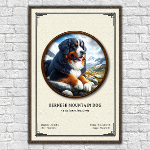 Bernese Mountain Dog Zoology Series Poster