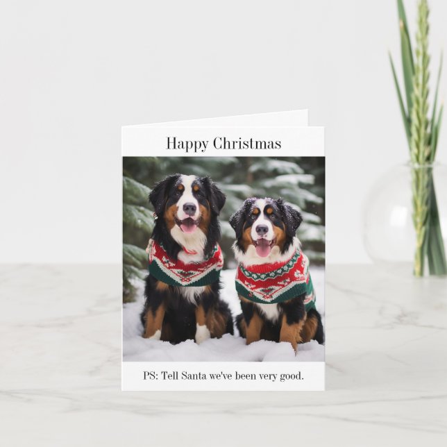 Bernese Mountain Dogs Christmas Card (Front)