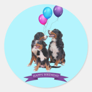 Bernese Mountain Dogs Happy Birthday Classic Round Sticker