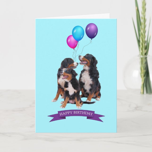 Bernese Mountain Dogs Happy Birthday Greeting Card (Front)
