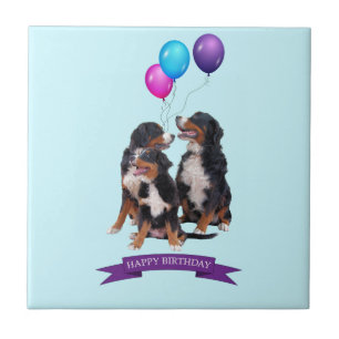 Bernese Mountain Dogs Happy Birthday Tile