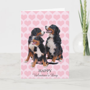 Bernese Mountain Dogs Hearts Valentine's Day Card
