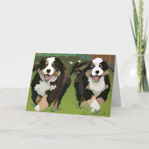 Bernese Mountain Dogs notecards