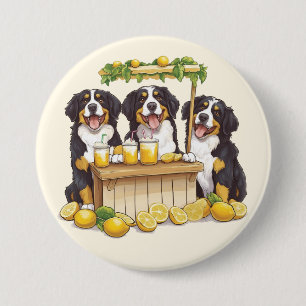 Bernese Mountain Dogs Running A Lemonade Stand 7.5 Cm Round Badge