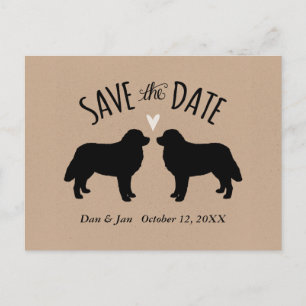 Bernese Mountain Dogs Wedding Save the Date Announcement Postcard
