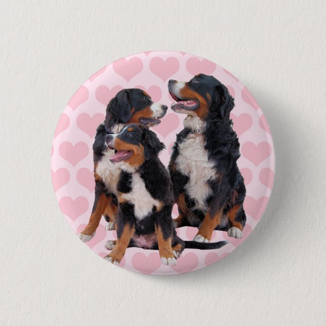 Bernese Mountain Dogs with Pink Hearts 6 Cm Round Badge (Front)