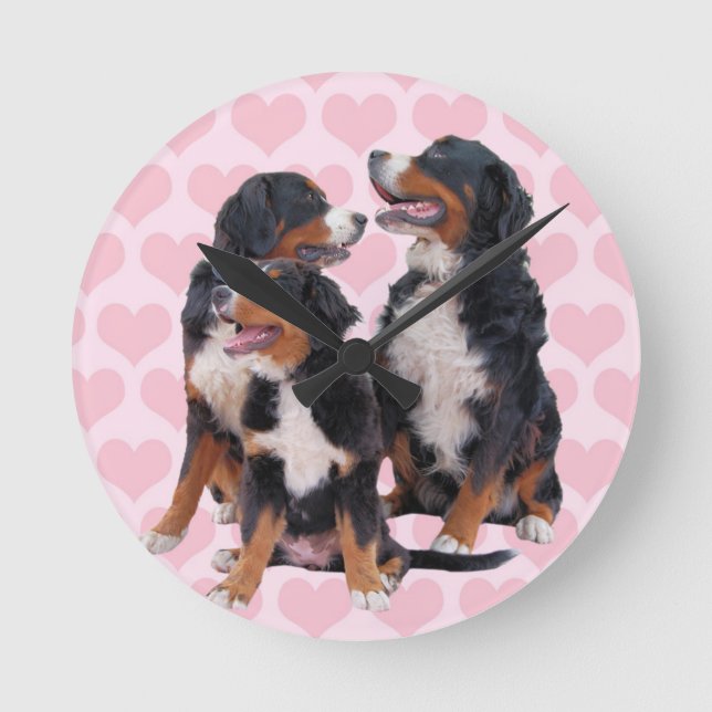 Bernese Mountain Dogs with Pink Hearts Round Clock (Front)