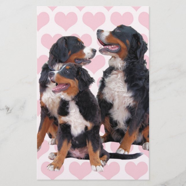 Bernese Mountain Dogs with Pink Hearts Stationery (Front)