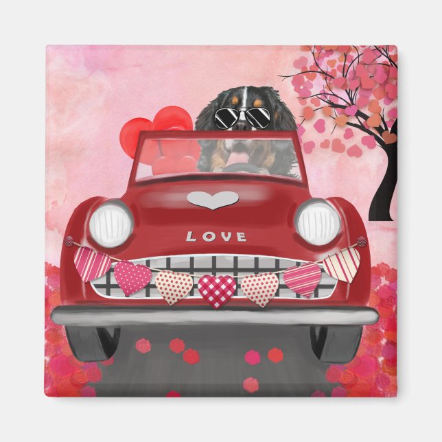 Bernese Mountain Driving Car with Hearts Valentine Magnet (Front)