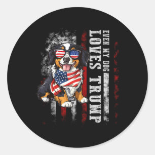 Bernese Mountain Even My Dog Loves Trump Funny Classic Round Sticker