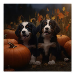 Bernese Mountain Puppy Autumn Delight Pumpkin Poster