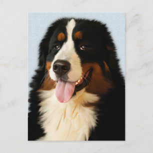 Bernese Mountain Puppy Dog Blank Postcard