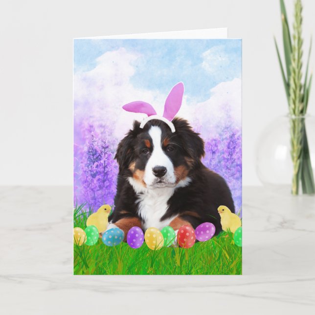Bernese Mountain with Easter Eggs Bunny Chicks Holiday Card (Front)