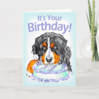 Bernese Mt Dog Cake Face Birthday