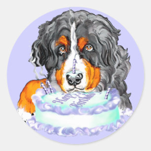 Bernese Mt Dog Cake Face Birthday Classic Round Sticker