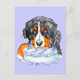 Bernese Mt Dog Cake Face Birthday Postcard