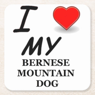 bernese mt dog love square paper coaster