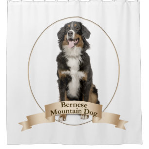 Bernese Mt. Dog Shower Curtain