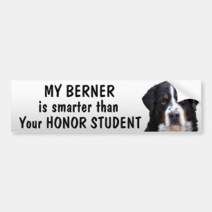 Bernese Mt Dog - Smarter than student - funny Bumper Sticker