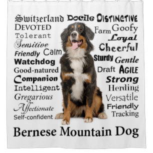 Bernese Mt. Dog Traits Shower Curtain